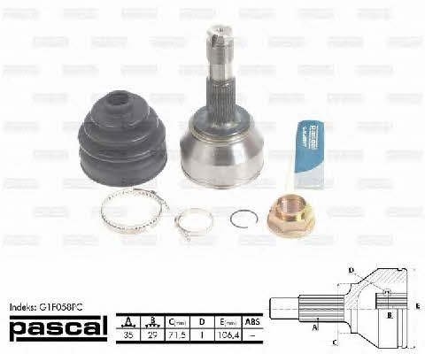 Buy Pascal G1F058PC at a low price in United Arab Emirates!
