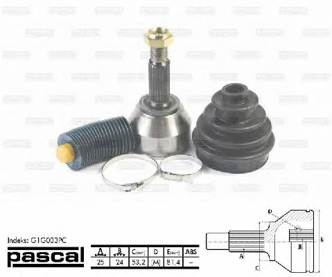 Buy Pascal G1G033PC at a low price in United Arab Emirates!