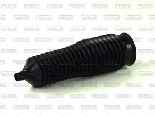Bellow kit, steering Pascal I60301PC