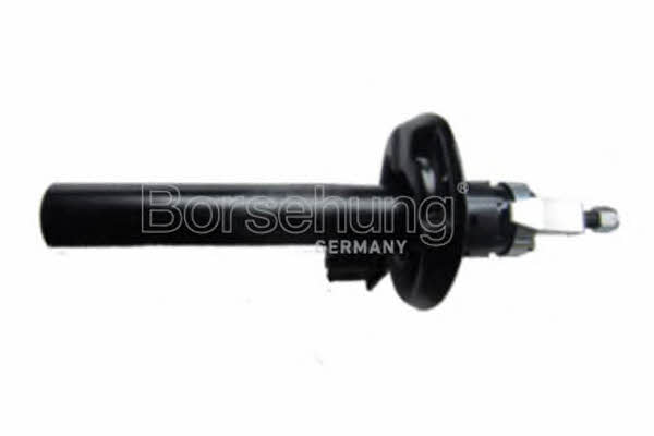 Borsehung B12137 Front oil and gas suspension shock absorber B12137