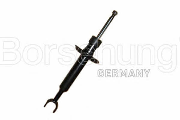 Borsehung B12140 Front oil and gas suspension shock absorber B12140