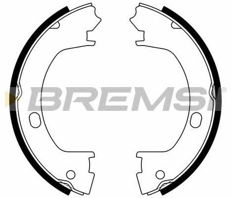 Bremsi GF4643 Parking brake shoes GF4643