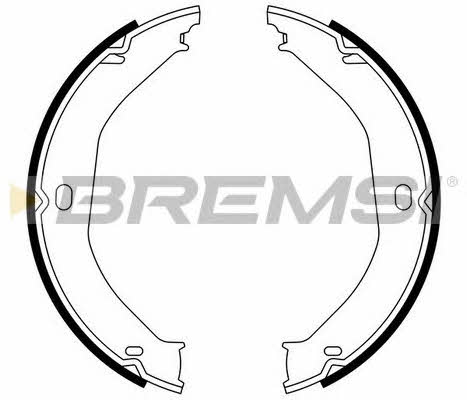 Bremsi GF4807 Parking brake shoes GF4807