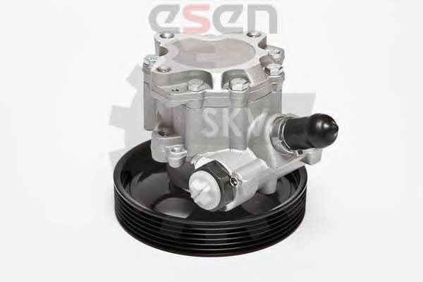 Hydraulic Pump, steering system Esen SKV 10SKV023