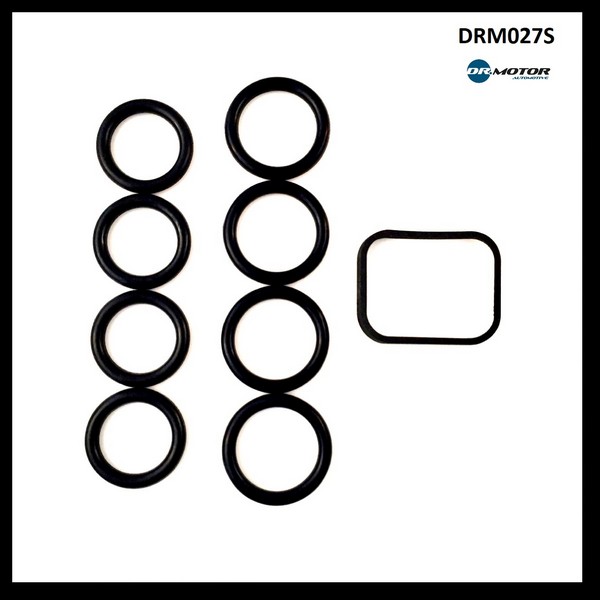 Dr.Motor DRM027S Intake manifold gaskets, kit DRM027S