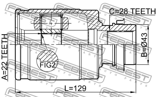 CV joint Febest 0511-BL16MTRH