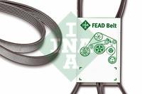 INA 537 0239 10 V-ribbed belt 6PK800 537023910