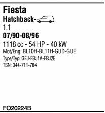 FO20224B Walker Exhaust system
