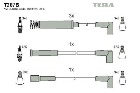 T287B Tesla Ignition lead set