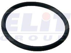 137038 Cargo Oil seal generator