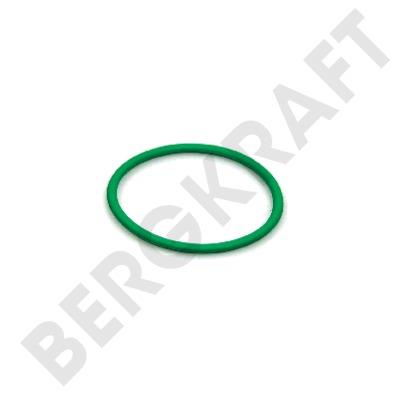Berg kraft BK8007923 Ring sealing BK8007923