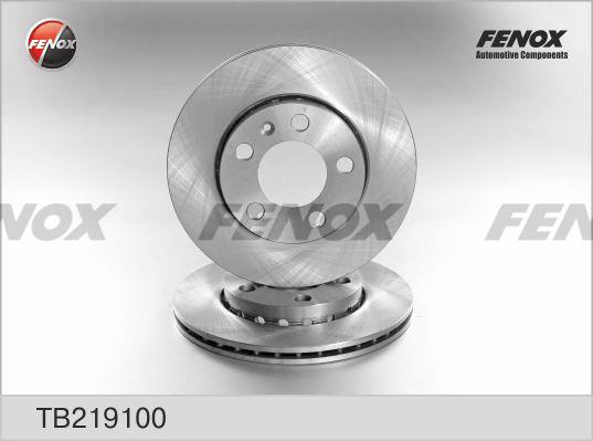 Fenox TB219100 Front brake disc ventilated TB219100