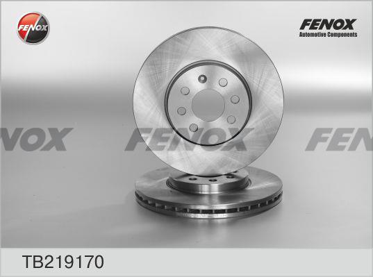 Fenox TB219170 Front brake disc ventilated TB219170
