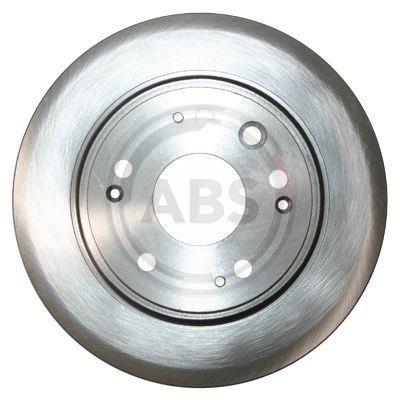 Brake disc ABS 17691