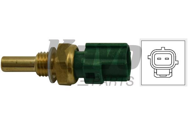Buy Kavo parts ECT-9008 at a low price in United Arab Emirates!