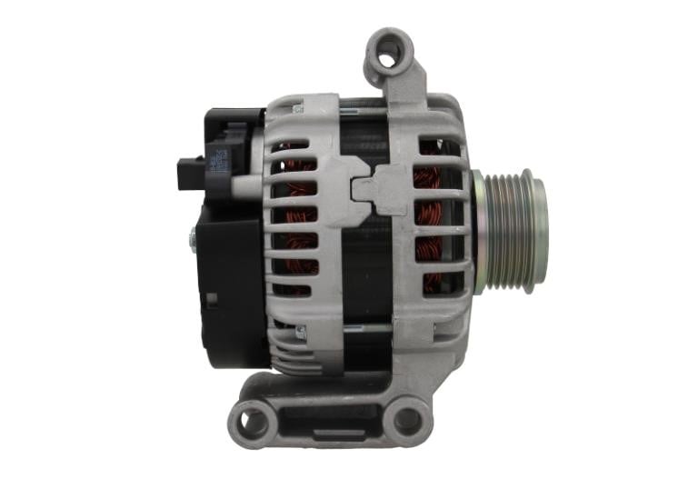 Buy BV PSH 225.538.150.011 at a low price in United Arab Emirates!