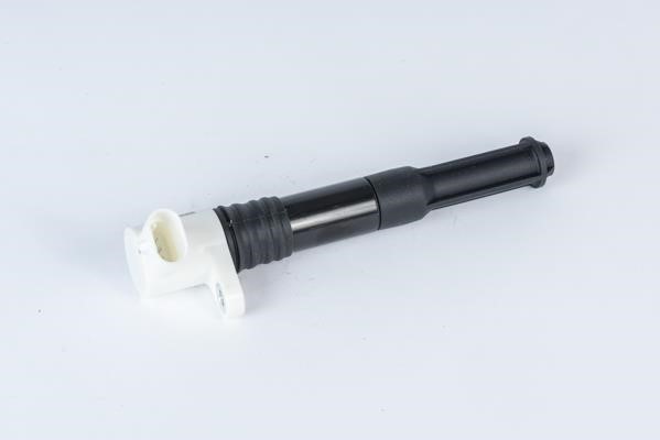 ZSE219 Beru Ignition coil