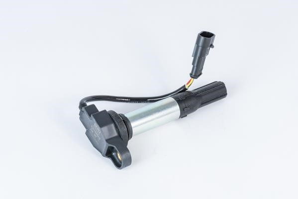 ZSE257 Beru Ignition coil