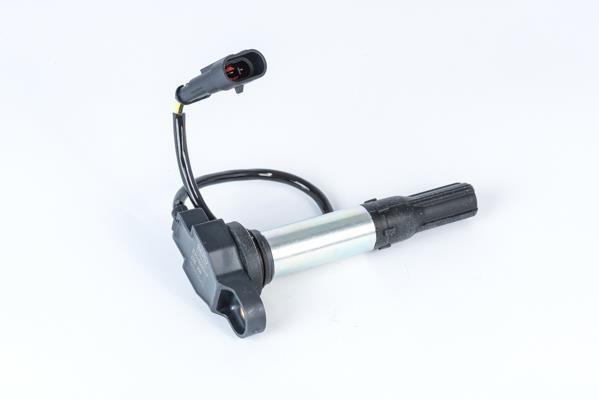 ZSE258 Beru Ignition coil