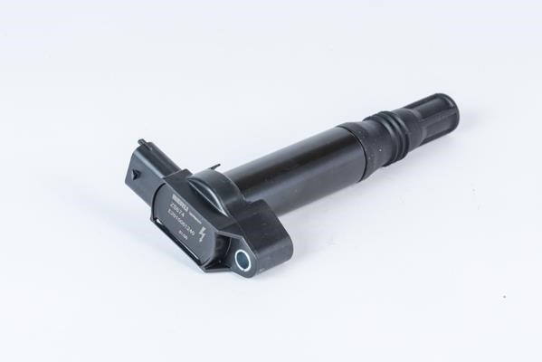 Engine coil Citroen C4: ZS574 Beru Ignition coil