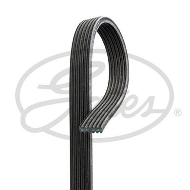 Poly-V belt Gates 6DPK2184