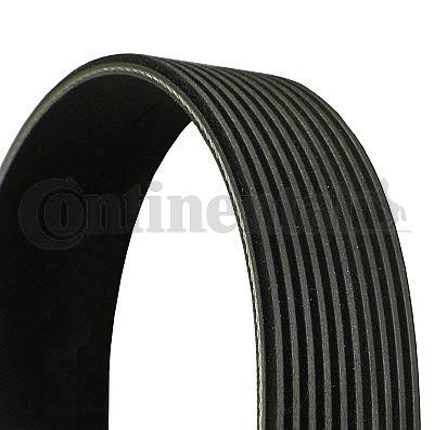 Aux belt MAN: 10PK2337 Contitech Poly-V belt
