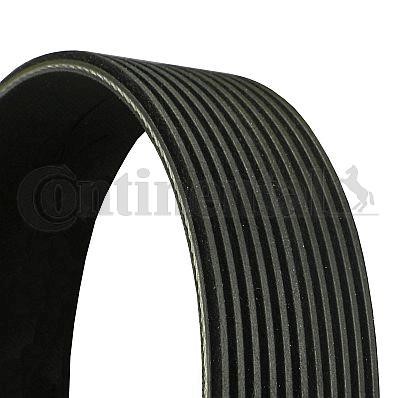 Contitech 11PK1920 Poly-V belt 11PK1920 11PK1920 Contitech Poly-V belt