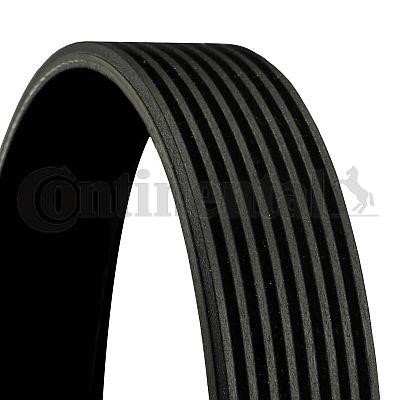 Alternator belt Mazda 3: 8PK1310EXTRA Contitech Poly-V belt