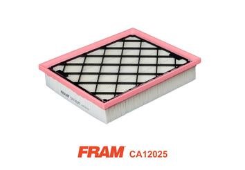 Fram CA12025 Air filter CA12025