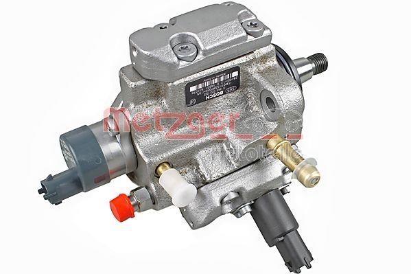 Injection Pump Metzger 0830113