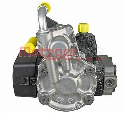 Injection Pump Metzger 0830115