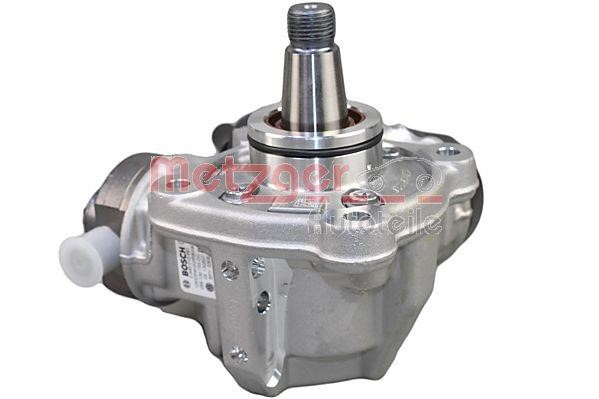 Injection Pump Metzger 0830123