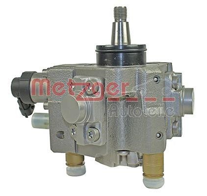 Injection Pump Metzger 0830070