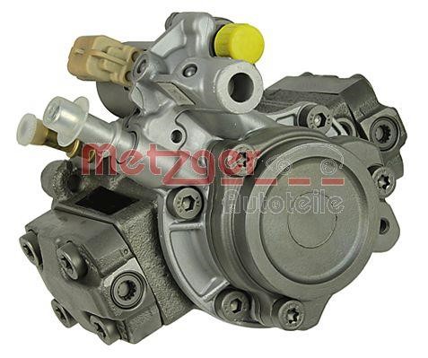 Injection Pump Metzger 0830071