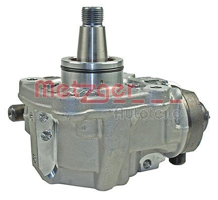 Injection Pump Metzger 0830088