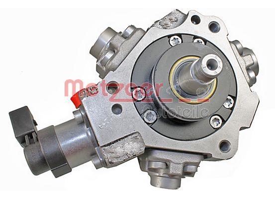 Metzger 0830106 Injection Pump 0830106