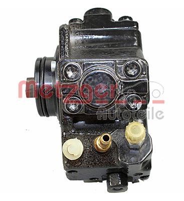 Metzger Injection Pump – price