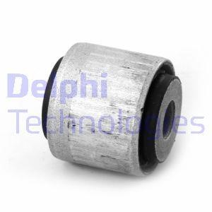 TD1731W Delphi Silent block