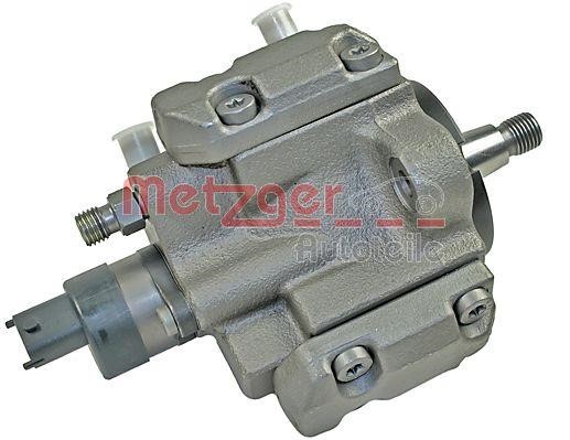 Injection Pump Metzger 0830083