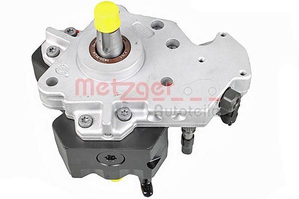 Metzger 0830095 Injection Pump 0830095