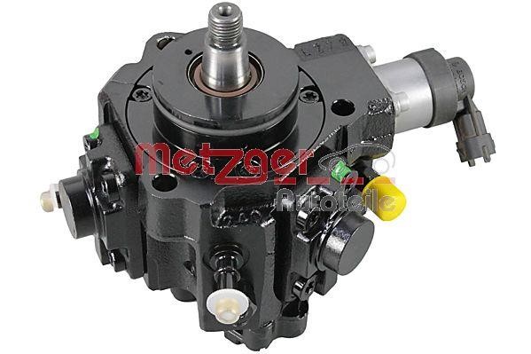 Metzger 0830099 Injection Pump 0830099