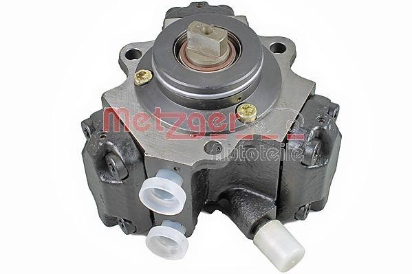 Metzger 0830103 Injection Pump 0830103