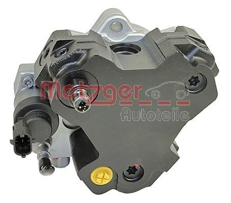 Metzger 0830073 Injection Pump 0830073