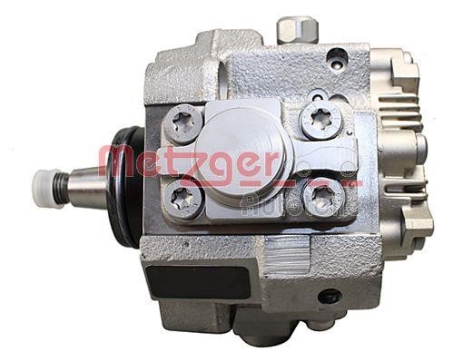 Injection Pump Metzger 0830106