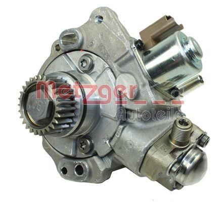 Metzger 0830043 Injection Pump 0830043