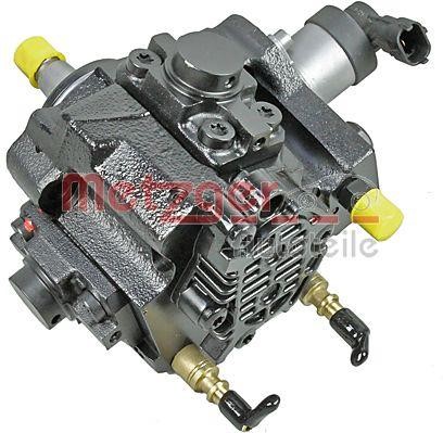 Metzger 0830050 Injection Pump 0830050