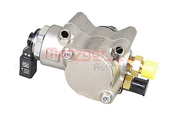 Injection Pump Metzger 2250446