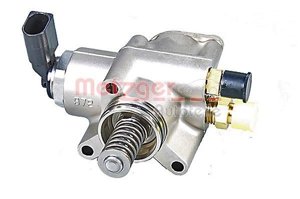 Metzger 2250446 Injection Pump 2250446