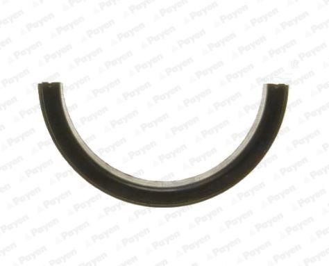 Payen LV501 Crankshaft oil seal LV501