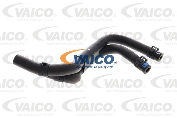 Fuel hose Audi: V107453 Vaico Fuel pipe